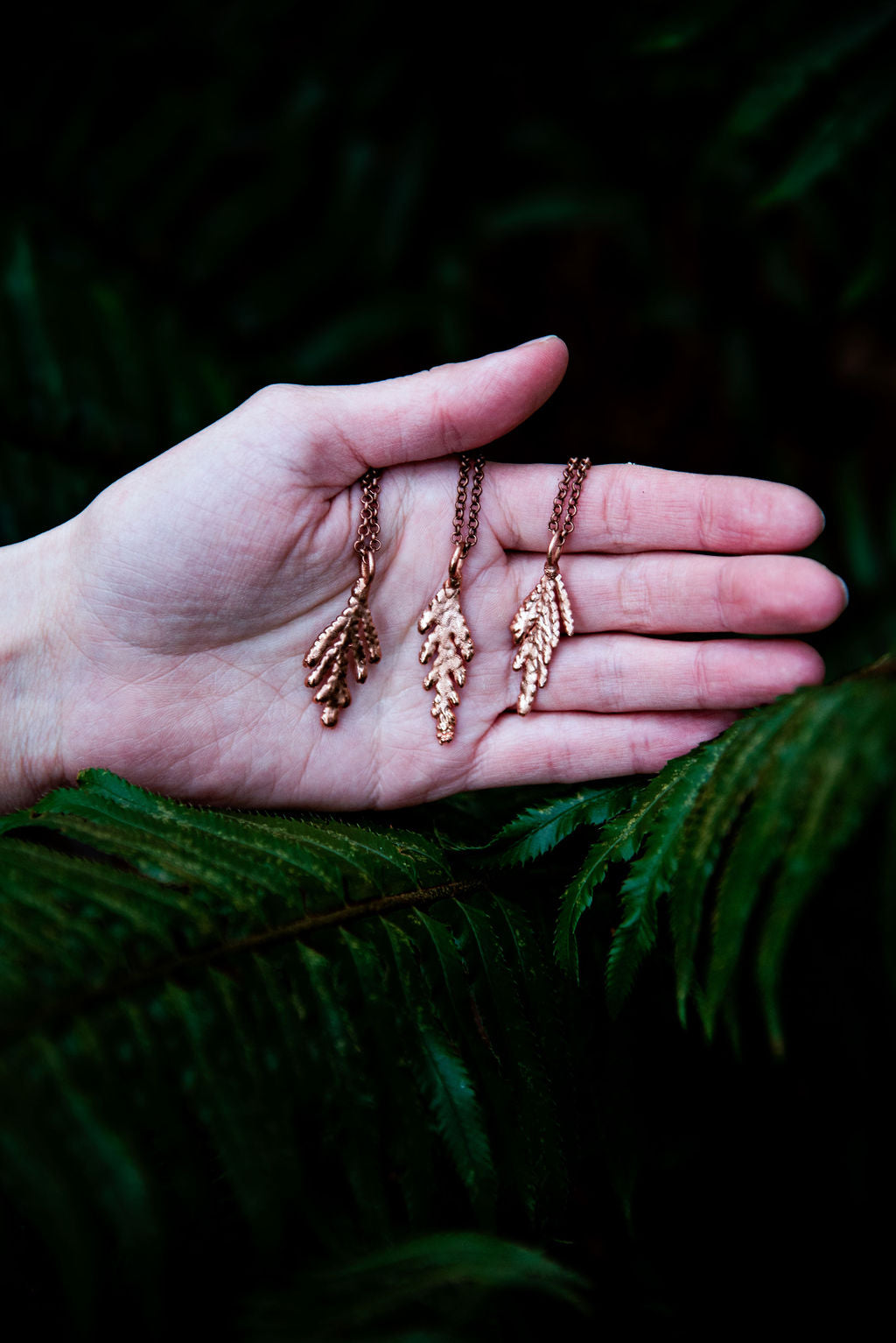 Vancouver Island Redwood Cedar Necklace